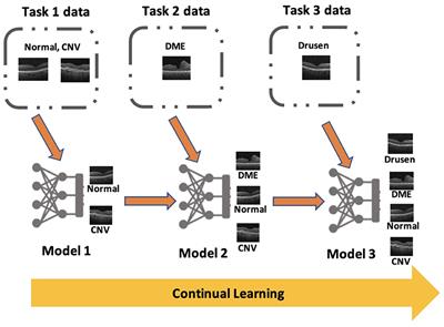 Privacy-preserving continual learning methods for medical image classification: a comparative analysis